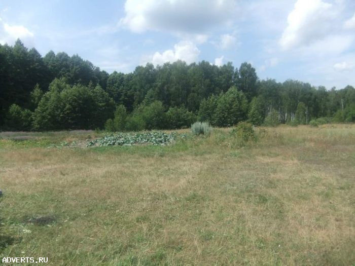 Продам участок 60 соток