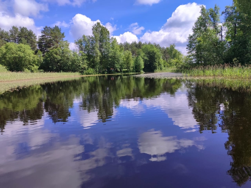 Отдых на Селигере. Дикая природа, грибы, ягоды, рыбалка.