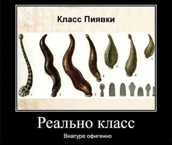 Репетитор по биологии