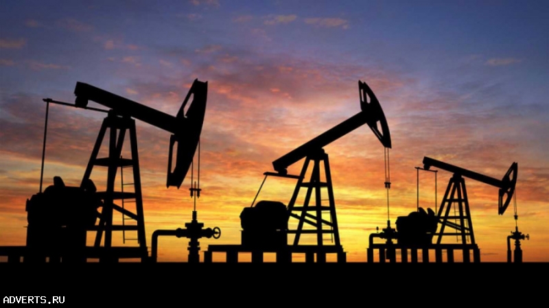 Продаем от производителя на экспорт нефтепродукты