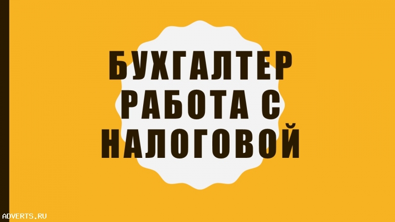 Бухгалтер по работе с налоговой инспекцией