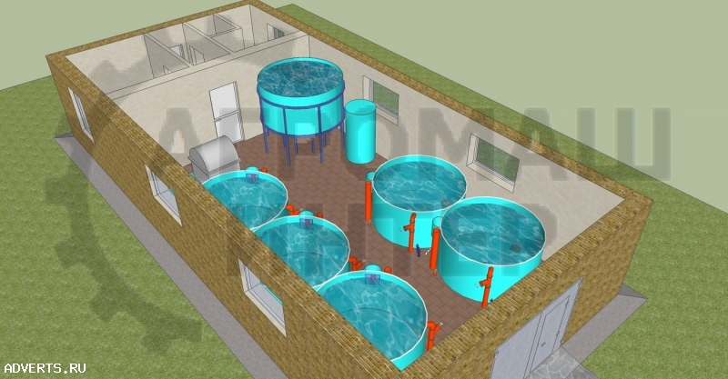 Рыбная ферма на 2 тонны