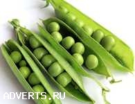 Реализуем Горох, качество ГОСТ.