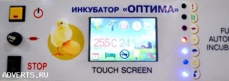 Инкубатор на 3000 куриных яиц Оптима