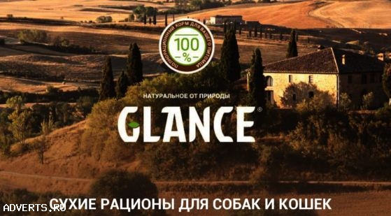 Корм для кошек и собак оптом