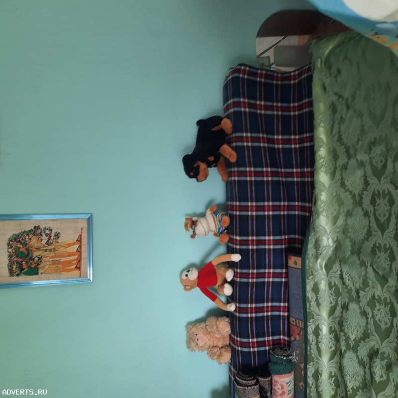 Сдаю в аренду