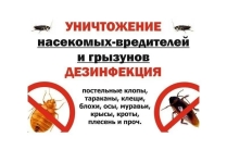Выведение клопов тараканов блох