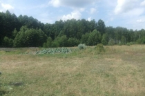 Продам участок 60 соток