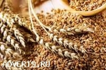 Реализуем Пшеницу 3, 4, 5 класса, качество ГОСТ.
