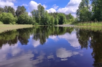 Отдых на Селигере. Дикая природа, грибы, ягоды, рыбалка.