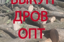 Закупаем дрова
