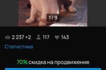 Передержка д/ж " Весёлые топтыжки " НЕ приют.