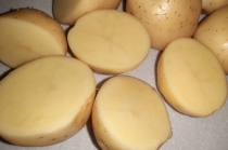 Картофель Коломбо 5+ сетевого качества напрямую от производителя.
