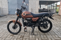 Colt 2024