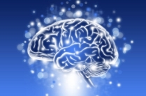 NewPsyHelp – забота о вашем душевном равновесии
