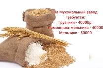 Грузчики, мельники, помощники мельника на мукомольный завод