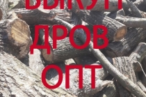 Закупаем дрова