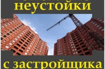 Взыскание неустойки с застройщика. Гарантии.