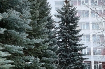 Зимний отдых на урале