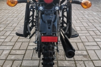 Colt 2024