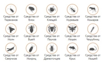 МосДезСпецТорг – интернет-магазин средств от насекомых и грызунов