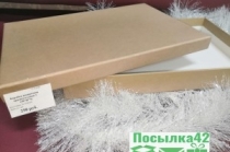 Подарочная коробка (прямоугольная)