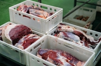 Производство говядины, свинины. Продажа оптом мясо