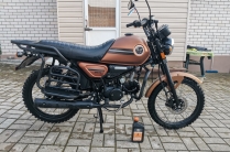 Colt 2024