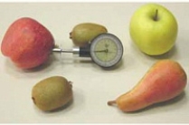 Прибор TR Turoni, для измерения твердости плодов, Италия