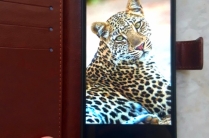 Смартфон Realme C61 8/256 GB