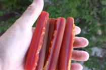 Бакелит коралловый темный