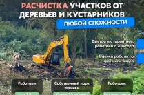 Расчистка территорий от деревьев и пней от 1 Га