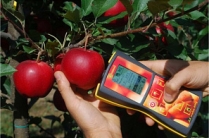 Анализатор DA Meтр для измерения спелости фруктов, Италия