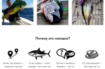 Предпочитаете поймать трофейного тунца?