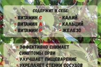 Кизил сушеный