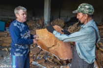 Деготь берестовый от производителя